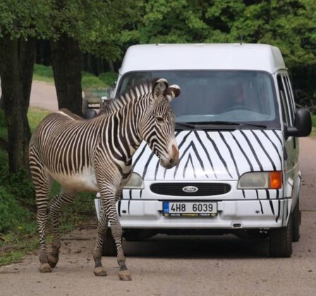 Offroad Safari (s africkou večeří)