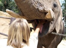 Ošetřovatelem v ZOO