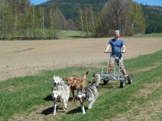 Mushing na terénní čtyřkolce