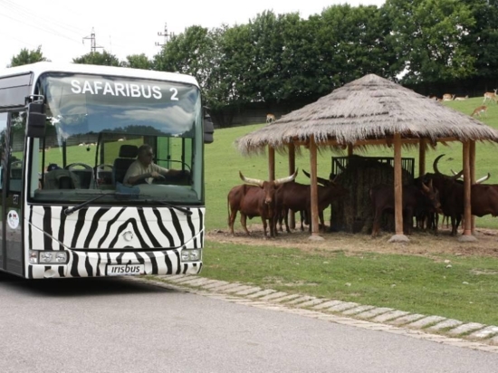 Offroad Safari (s africkou večeří)
