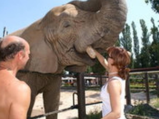 Ošetřovatelem v ZOO