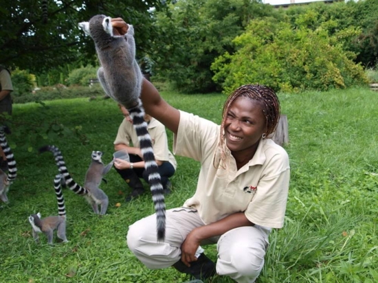 Ošetřovatelem v ZOO