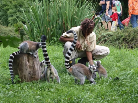 Ošetřovatelem v ZOO