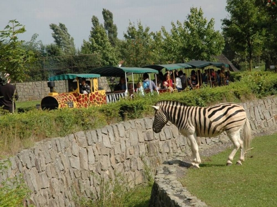 Offroad Safari (s africkou večeří)