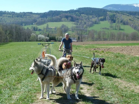 Mushing na terénní čtyřkolce