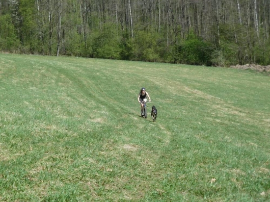 Mushing na terénní čtyřkolce